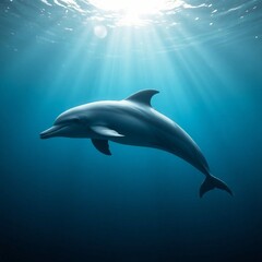 Obraz premium Dolphin Picture Art