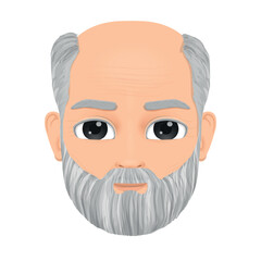 Portrait of old man with gray hair and baldness