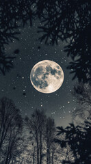 The full moon shines in the sky, surrounded by stars and tree branches.