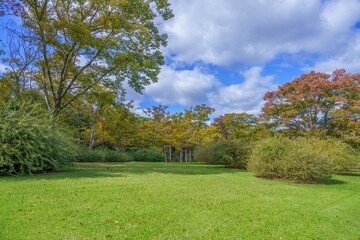 青空バックに見る秋の日本庭園の情景