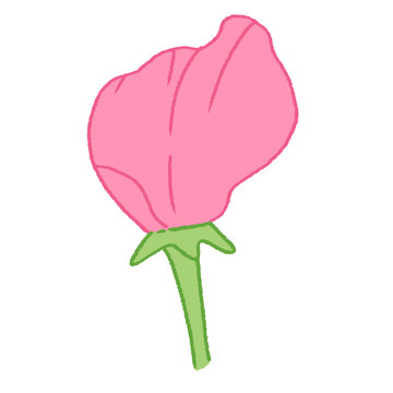 pink flower bud on green stem clip art preview