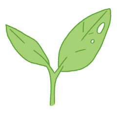 cute green tea leaves doodle hand drawn illustration