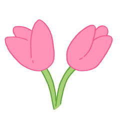 cute pink tulips flower doodle hand drawn illustration