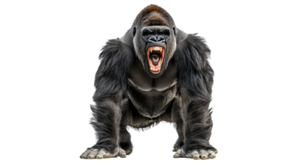 Fierce gorilla shows strength and power