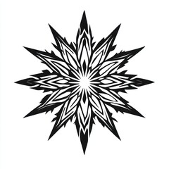 Obraz premium Abstract Black And White Starburst Design