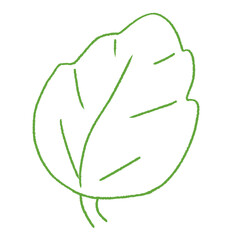 cute green mint leaf doodle hand drawn line art illustration