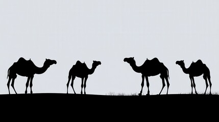 Silhouette of Camels on Horizon Against Soft Gray Background