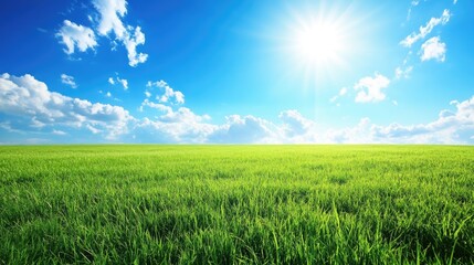 Obraz premium Breathtaking view of a rolling prairie, vibrant green grass stretching for miles.