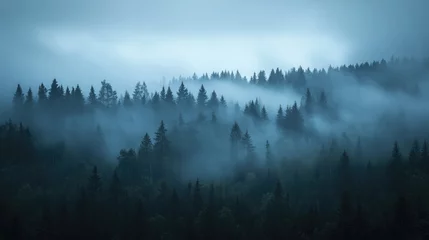 Sierkussen Mistig bos Fog rolling over a mysterious dark forest, moody tones and open space for text placement.  © Sampao