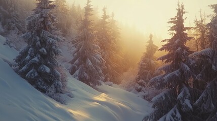 Golden light shining through a forest of snow-covered trees, peaceful winter morning atmosphere.