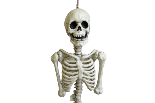 Hanging skeleton decoration for festive occasions
