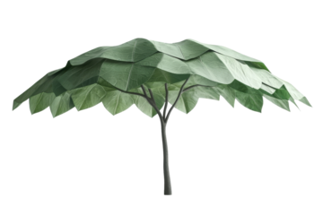 Artistic representation of a tree with large flat leaves and unique shape