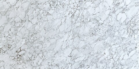 Obraz premium A close-up view of a white marble surface with intricate gray veining, showcasing its natural beauty and texture.