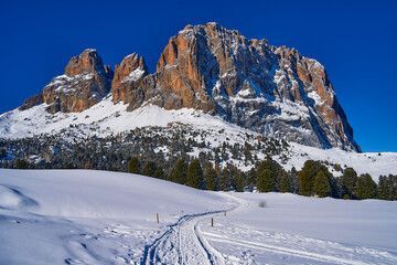 Beautiful panoramic view to the Sellaronda - the ski circuit around the Sella group in Dolomites, Italy - Badia, Gherdeina, Fascia. Extraordinary snowy peaks of the dolomites, southern Alps.