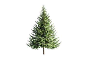 Obraz premium Lush Evergreen Tree Isolated on Transparent Background for Nature Imagery