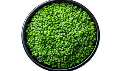 Healthy Green Sprouts in a Black Bowl