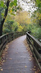 Fototapeta premium A day of walking in the park