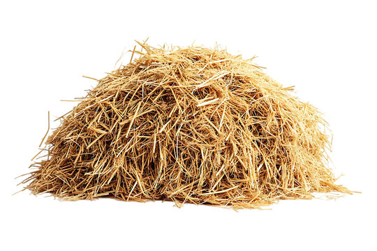 Pile of Hay against Black Background