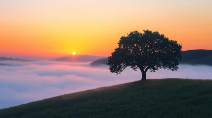 Obraz premium Majestic Tree Silhouette Against Vibrant Sunrise Over Foggy Hills