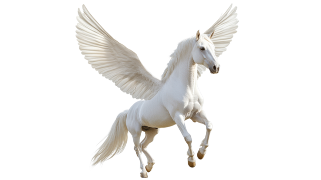 Majestic white winged horse in dynamic flight