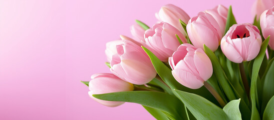 Naklejka premium Koncepcja międzynarodowego świętowania dla kobiet. Bukiet różowych tulipanów na pastelowo-różowym tle, emanujący świeżością i pięknem