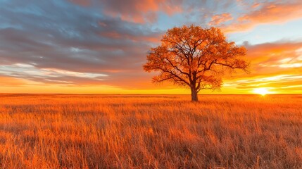 Fototapeta premium Golden Sunrise over Prairie Landscape