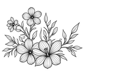 coloring books flower beautiful 