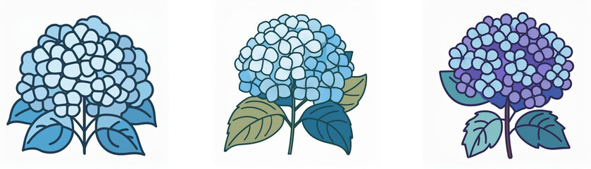 Three hydrangea flowers in blue and purple hues are illustrated, showcasing the delicate petals and leaves of this beautiful bloom.