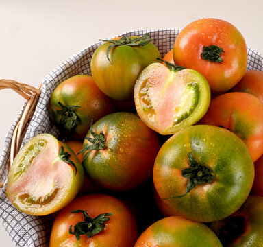 토마토
tomato