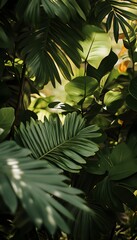 Verdant Leaves Provide A Tropical Vibe With Green Tones