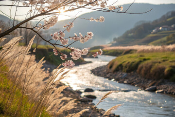 Fototapeta premium Blossoming cherry tree branches over serene river landscape at sunset