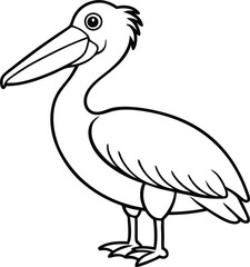 Fototapeta premium Dalmatian Pelican Pelecanus crispus in front of a white background vector art illustration
