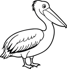 Fototapeta premium Dalmatian Pelican Pelecanus crispus in front of a white background vector art illustration