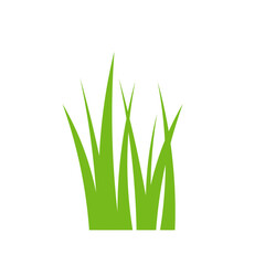 Green Landscape Element Grass