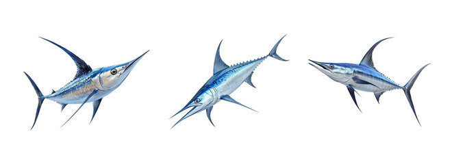 Three Colorful Swordfish Illustrations on Transparent Background