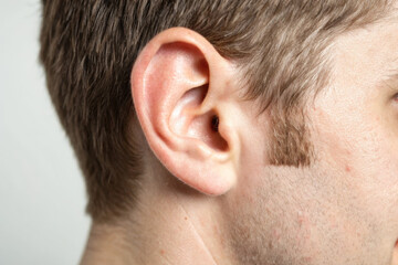 Fototapeta premium Close up of human ear and hair, showcasing details and texture