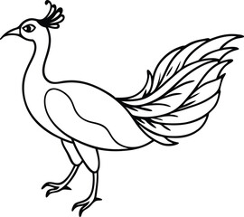 Beautiful peacock in front of white background vector art illustration