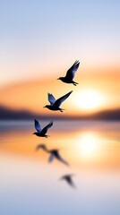 Three birds flying over calm sunset water. Peaceful nature scene for travel, serenity, or freedom themes