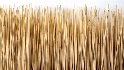 Close-up of Light Brown, Thin, Vertical Elements