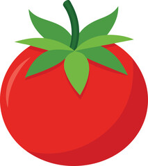 Single tomato with two leaf isolated on white backgroun vector art illustration