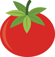 Single tomato with two leaf isolated on white backgroun vector art illustration