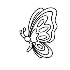 butterfly vector illustration