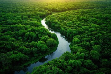 Bird's-eye view of a vibrant forest and river symbolizing eco-friendliness.