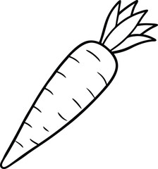 Carrot fresh vegetable vector art illustration