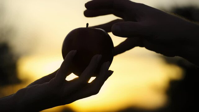 Two silhouetted hands of men and a women against a warm, golden sunset. One hand is passing the apple to the other, creating a scene that symbolizes giving, sharing, or generosity. The background