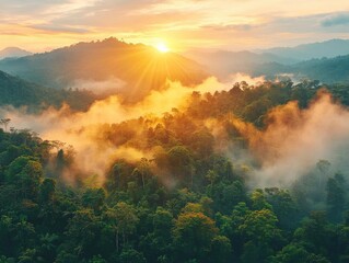 Sunrise Illuminates Misty Mountain Forest Landscape
