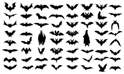 Bat Silhouette Set Collections Bat Shadow Bundle