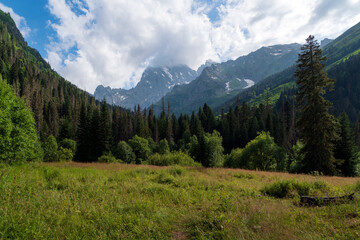 Obraz premium View of Kosygin's glade (Buulu Tala) in the Gonachkhir gorge and the top of Dombai-Ulgen mountain near Dombai ski resort on a sunny summer day, Karachay-Cherkessia, Russia