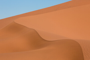 Namib Sand Dune Curves