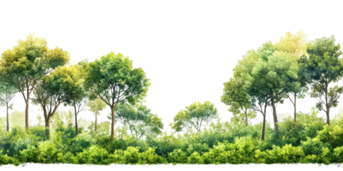 Lush green forest scene nature transparent background png vivid colors digital art serene environment